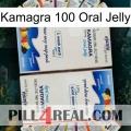 Kamagra 100 Oral Jelly kamagra1